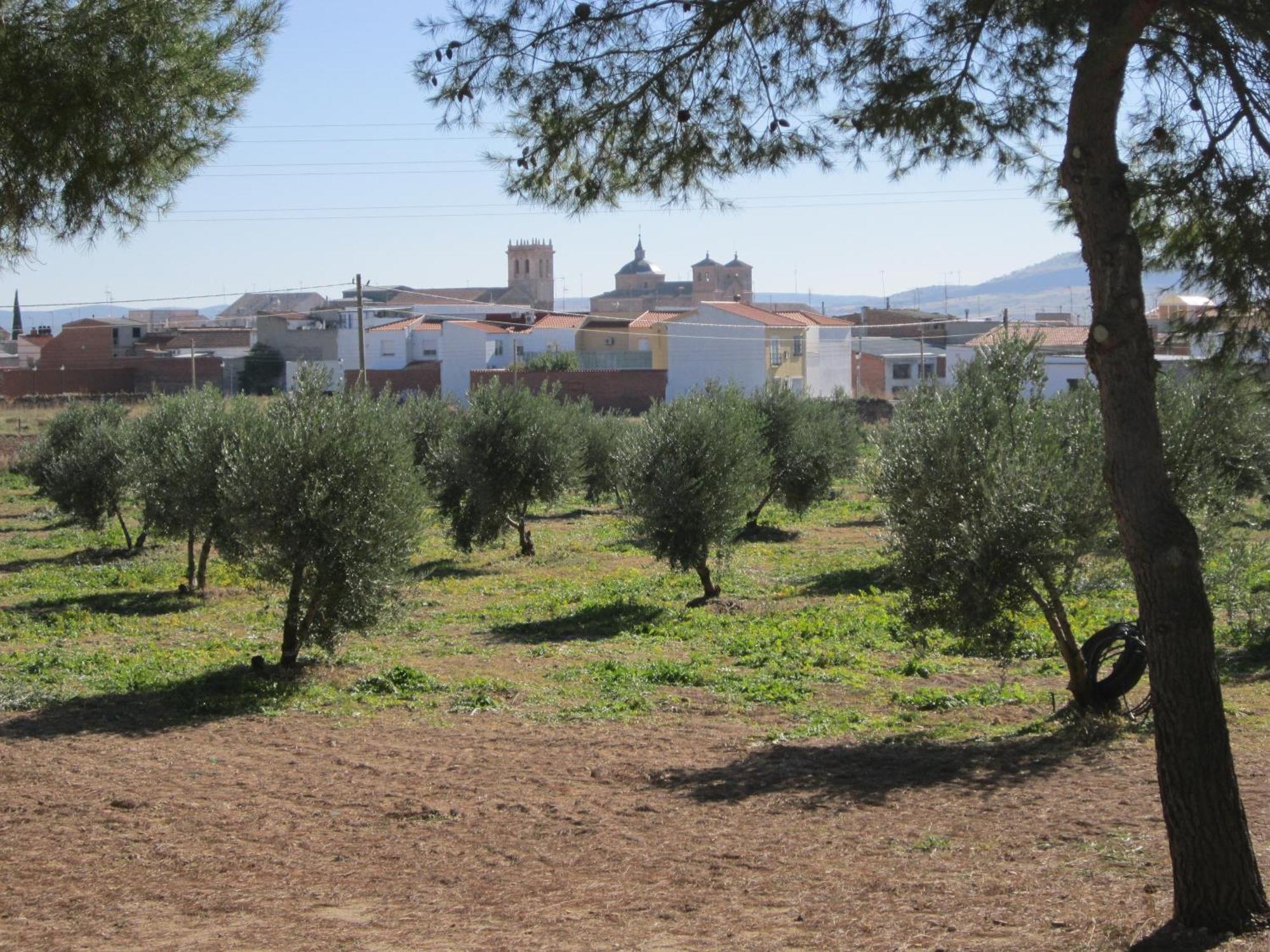 Apartamentos Rurales Las Caleras Almagro Exterior foto