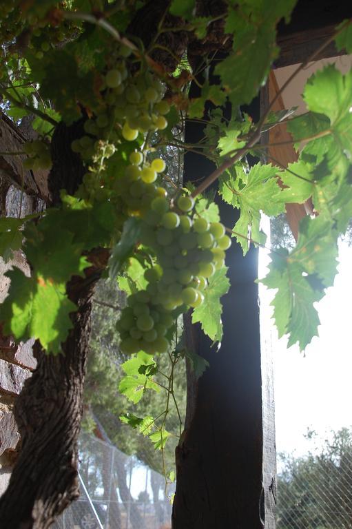 Apartamentos Rurales Las Caleras Almagro Exterior foto